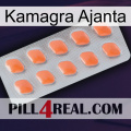 Kamagra Ajanta 26